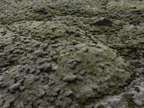 Lava, mosses, volcanic landscape, cloudy, summer, aerial view, Eldhraun, Kirkjubaerklaustur,