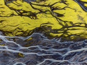 River, river course, river delta, branched, sunny, aerial view, summer, south-east Iceland, Iceland