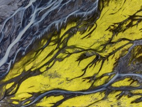 River, river course, river delta, branched, sunny, aerial view, summer, south-east Iceland, Iceland