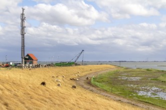 Coastal impression of Spiekeroog, one of the East Frisian Islands at the North Sea coast of Germany