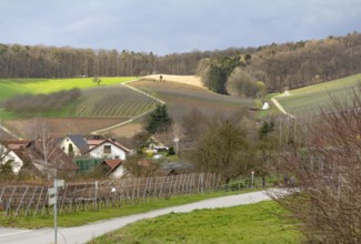 Idyllic rural scenery around Bretzfeld in Hohenlohe at early spring time
