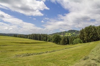 Scenery around Wiesenfelden in the Bavarian Forest at summer time