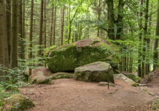 Impression at the idyllic nature reserve named Hoelle in the Bavarian Forestin Southern Germany at