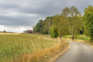 Overcast farmland scenery in Hohenlohe, an area in Southern Germany at late summer time