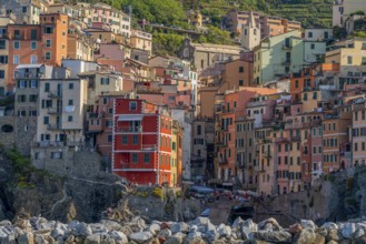 Scenery around Riomaggiore, a village at a coastal area named Cinque Terre in Liguria, located in
