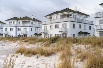 Scenery around Olpenitz, a part of the town Kappeln in Schleswig-Holstein, Germany, at the mouth of