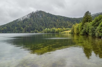 Waterside scenery around Gerardmer in France, a commune in the Vosges department in Grand Est in