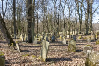 Historic jewish graveyard at early spring time near Berlichingen in Hohenlohe, a area in Southern
