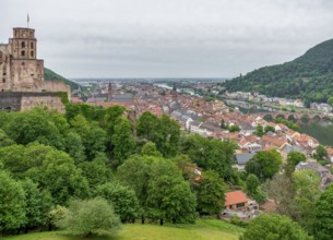 Aerial view of Heidelberg in Germany at summer time
