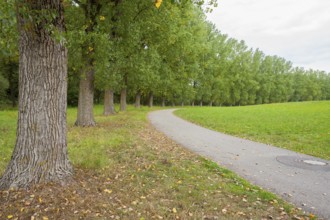Rural avenue near Buehlertann in Southern Germany