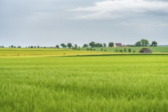 Idyllic rural scenery in Hohenlohe, a area in Southern Germany