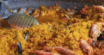 Closeup shot of a spanish dish named Paella