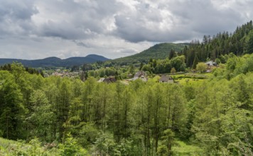 Scenery around Saulxures, a commune in the Bas-Rhin department in Grand Est in north-eastern France