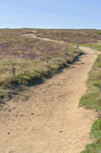 Coastal scenery including a footpath around Pointe du Van, a promontory in Brittany, France