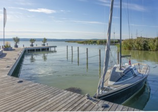 Sunny waterside scenery around Neusiedl am See in Austria