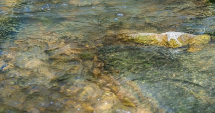 Closeup shot of some flowing water at a small river