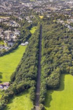 Aerial view, straight railway line in the forest in the district of Berge in Gevelsberg, Ruhr area,