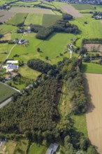 Aerial view, Krabbenheider Bach in the forest in the district Asbeck in Gevelsberg, Ruhr area,