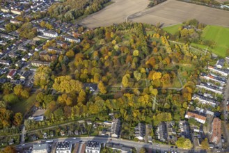 Aerial view, autumn colours at Brauck cemetery in the Brauck district of Gladbeck, Ruhr area, North