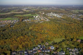 Aerial view, forest area in autumn colours and Ineos Phenol chemical plant in the district Rentfort