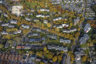 Aerial view, high-rise residential estate Schwechater Straße in the district Rentfort in Gladbeck,