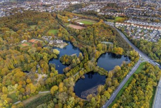 Aerial view, moated castle Wittringen with castle pond in the district Butendorf in Gladbeck, Ruhr