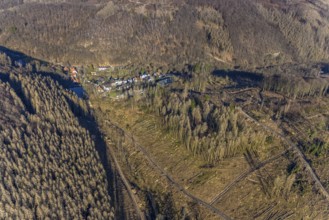 Aerial photograph, forest dieback at the LWL Open-Air Museum Hagen, Eilpe, Hagen, Ruhr area, North