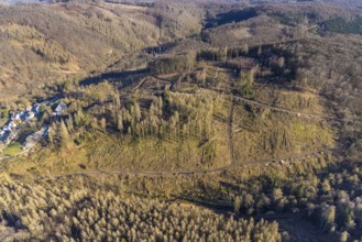 Aerial photograph, forest dieback at the LWL Open-Air Museum Hagen, Eilpe, Hagen, Ruhr area, North