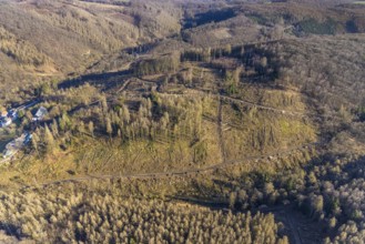 Aerial photograph, forest dieback at the LWL Open-Air Museum Hagen, Eilpe, Hagen, Ruhr area, North