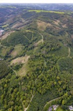 Aerial view, forest damage at Schleipenberg and Stoppelberg in the district Hohenlimburg in Hagen,