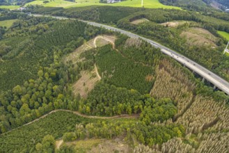 Aerial photograph, forest damage on the A45 motorway in the Dahl district of Hagen, Ruhr area,