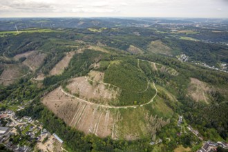 Aerial view, forest damage at Schleipenberg in the district Hohenlimburg in Hagen, Ruhr area, North