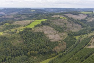 Aerial photograph, forest area with forest damage in the Rummenohl district of Hagen, Ruhr area,