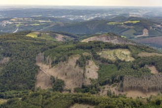 Aerial view, forest damage at Rafflenbeuler Kopf at the village Zurstraße in the district Eilpe in