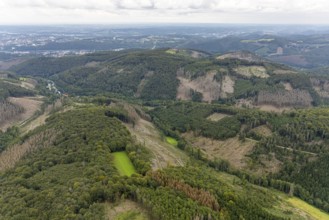 Aerial view, forest damage at Rafflenbeuler Kopf at the village Zurstraße in the district Eilpe in