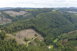 Aerial photo, forest damage and wind turbines in the Rummenohl district of Hagen, Ruhr area, North