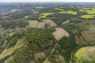 Aerial view, forest damage at Rafflenbeuler Kopf at the village Zurstraße in the district Eilpe in