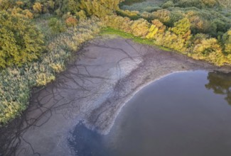 Recognising animal tracks, mud, track reading, shallow water zone, mud, reed belt, food source,