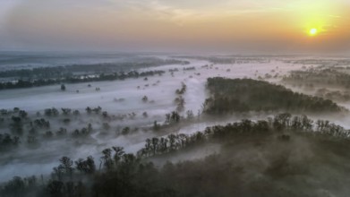 Spring fog, Germany from above, aerial view, floodplain landscape, meander, meandering river,