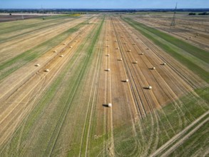 Farmland after harvest, hay bales, straw bales temporarily stored on field, baler, agriculture,