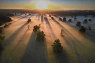 Spring fog, Germany from above, aerial view, floodplain landscape, meander, sunrise, morning mood,