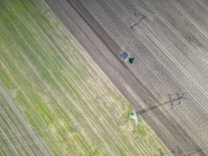Field work, tractor, ploughing, cultivating, sowing peas, fertilising, agricultural work,
