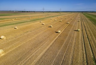 DefaultArable land after harvest, hay bales, straw bales temporarily stored on field, baler,