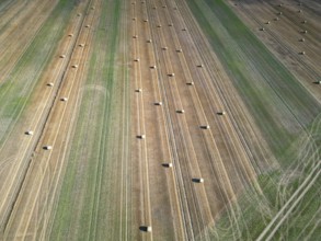 Farmland after harvest, hay bales, straw bales temporarily stored on field, baler, agriculture,