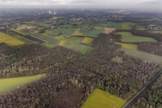 Aerial view forest area Sandbochumer Heide near Kerstheider Straße in Hamm, Ruhr area, North