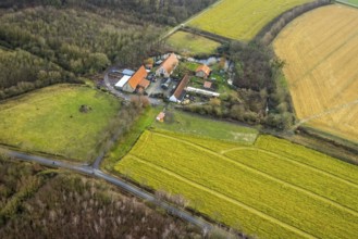 Aerial view Brauhof Wilshaus in Hamm, Ruhr area, North Rhine-Westphalia, Germany, excursion