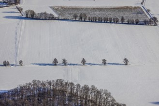Aerial photo, snow-covered fields, winter, Uentrop, Hamm, Soester Börde, North Rhine-Westphalia,