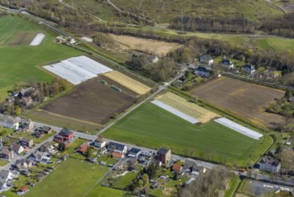 Aerial view, agricultural area Hoppeistraße, asparagus cultivation, Herringen, Hamm, Ruhr area,