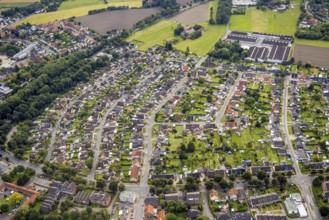 Aerial view, colliery housing estate Alte Kolonie with Beverstraße, Eckeystraße,