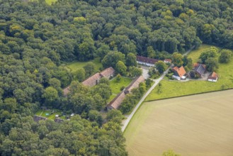 Aerial view, Eilmser Wald in Eilmsen in Welver, Ruhr area, North Rhine-Westphalia, Germany, DE,